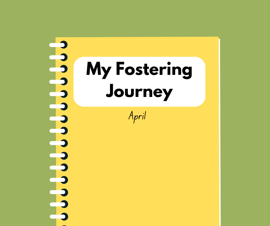 My Fostering Diary April by Changing Futures Fostering
